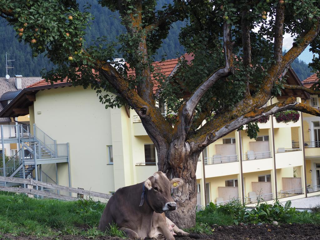 Obermairhof Olang Exterior foto